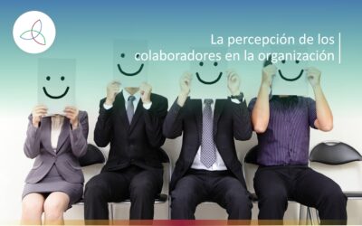 La percepción de los colaboradores en la organización