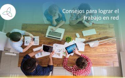 ¿Cómo lograr el trabajo en red?