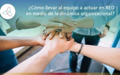 ¿Cómo llevar al equipo a actuar en RED en medio de la dinámica organizacional?