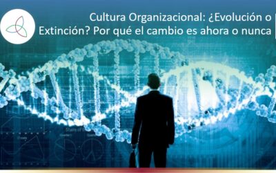 El ADN Cultural: ¿Qué revela la genética de tu empresa sobre su éxito futuro?