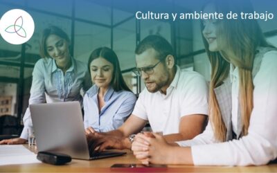 Cultura y ambiente de trabajo